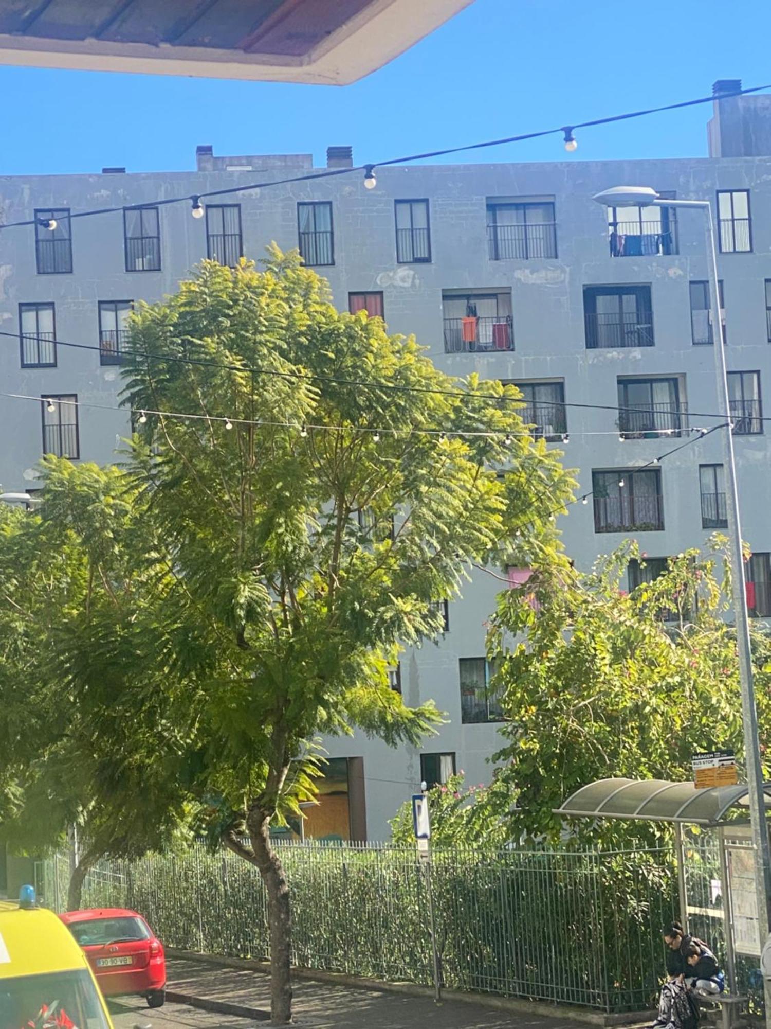 Apartament Funchal Varzea Park Zewnętrze zdjęcie